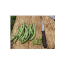 Livingseeds Beans 